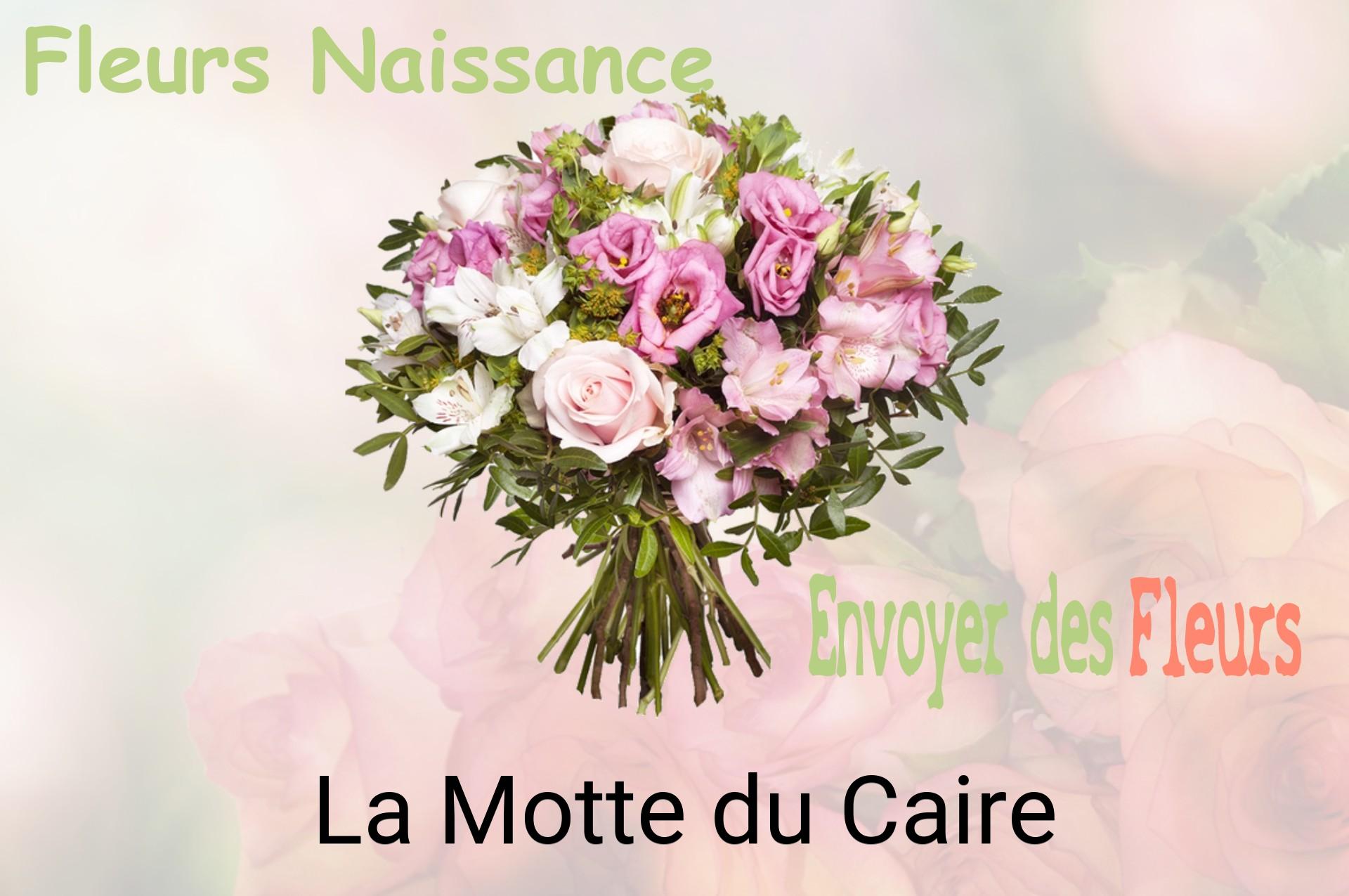 Bouquet de fleurs de naissance livré à La Motte-du-Caire